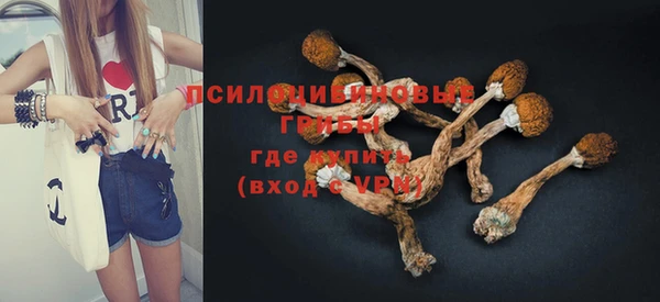 spice Беломорск