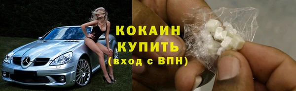 винт Белокуриха