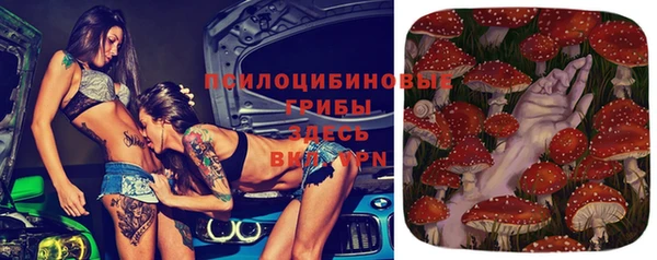 крисы Белоозёрский